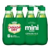 8pk CanadDry Ginger Ale 300ML