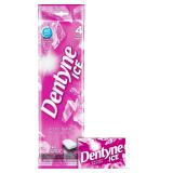 Dentyne Ice Arctic Bubble Chewing Gum 48ct