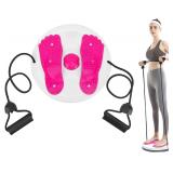 New Twisting Waist Disc Balance Board