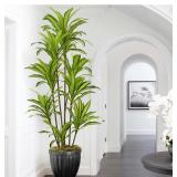 $140 (6') Faux Dracaena Tree
