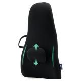 NEW $110 HighBack Backrest Support