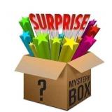 $270 Medium Mystery Box