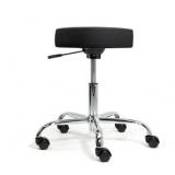 MISSING $170 EARTHLite massage stool