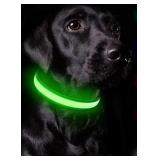 (M) GREEN Light Up Collar
