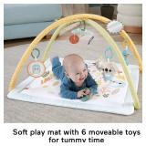 $55 NEW Fisher-Price Simply Senses Newborn Gym Bab