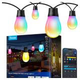 MISSING $140 (96ft) Outdoor String Lights