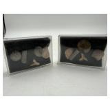 Fossil Display Set (2pcs) (Used)