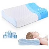 $45 Standard Size Memory Foam Pillow
