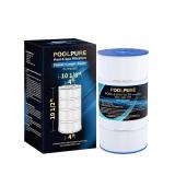 NEW $100 PA100S Pool Filter