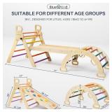 NEW $120 Pikler Triangle Set