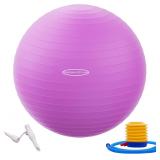 NEW Slip Resistant Exercise Ball Kit w/Pump