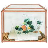 NEW $53 Glass Rose Gold Card Box