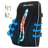 $145 Lumbar Support Pillow