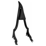 NEW $120 Motorcycle Sissy Bar