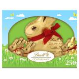 BB8/31/25 Lindt GOLD BUNNY Milk Chocolate, 250g