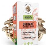 Shiitake Mushroom Kit Grow Your Own Mushrooms!