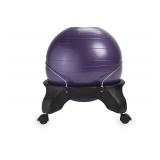 USED $182 Gaiam Classic Backless Balance Ball