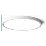 $50 (15.8') LED Ceiling Light