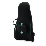 $110 ObusForme HighBack Backrest Support