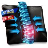 B/New.$85. AJUVIA  Vitalizer Lumbar Support Pillow