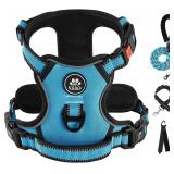 New $32 IVY&LANE No Pull Dog Harness for Small...