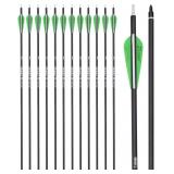 $40 (26/28/30') 12 pk Carbon Arrows