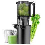 NEW $100 Masticating Juicer for Fruits & Veggies