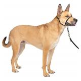 NEW $30 (M) Gentle Leader Head Dog Collar
