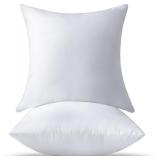 (22x22) Throw Pillow Inserts