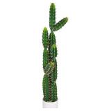 NEW $328 (51') Tall Artificial Cactus