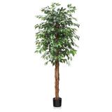$100 6FT Silk Artificial Ficus Tree with Natural
