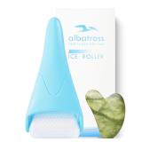 NEW Ice Face Roller & Gua Sha Tool Skin Set