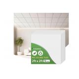 $110 2ft x 2ft Smooth White Ceiling Tiles