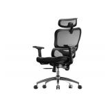 $250 SIHOO Ergonomic Office Chair,High