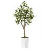 $110 6FT Artificial Lemon Tree with White Tall