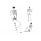 NEW $60 5.4Ft/165cm Halloween Life Size Skeleton