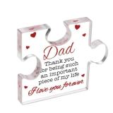 NEW Thank You Dad Gifts