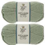 NEW $60 2PK Soft & Sleep Low Pill Yarn(213 Yards)