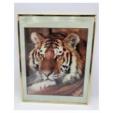 Framed Tiger Portrait Wall Art 16ï¿½ x 20ï¿½
