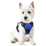 NEW $33 (XL) Rabbitgoo No Pull Dog Harness