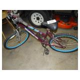 Road Master mountain sport bike