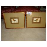 Two 'MV Wright del' bird wall prints, framed and m