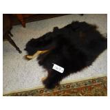Bear skin 45x30 approx