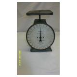 Hanson weight Master scale