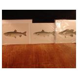 S.F Denton Fish prints. Lot of 3