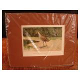 JL Ridgway antique bird print. Sora.