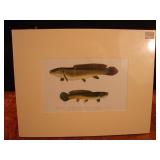 SF Denton Fish print. Original chromolithd.