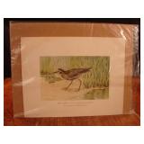 Lot of 2 J.L. Ridgway antique bird prints