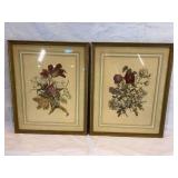 Framed Floral Prints