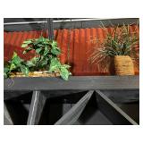 Fake Plants / Decorative Plants